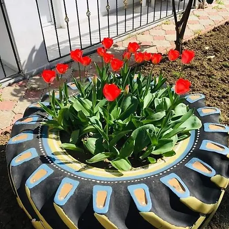 فندق Istanbul Yildiz مرمرة إريغليسي