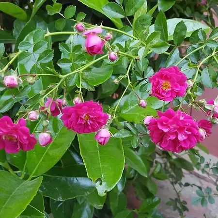 Istanbul Yildiz Otel 3*