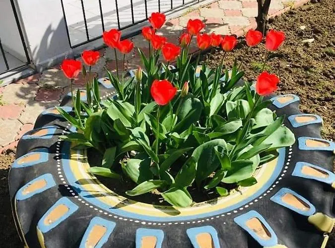 Hotel Istanbul Yildiz Marmara Ereglisi